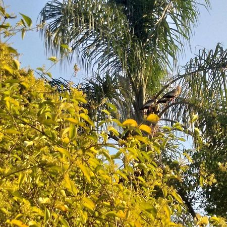 Pousada Do Sossego Conceição da Ibitipoca Cameră foto