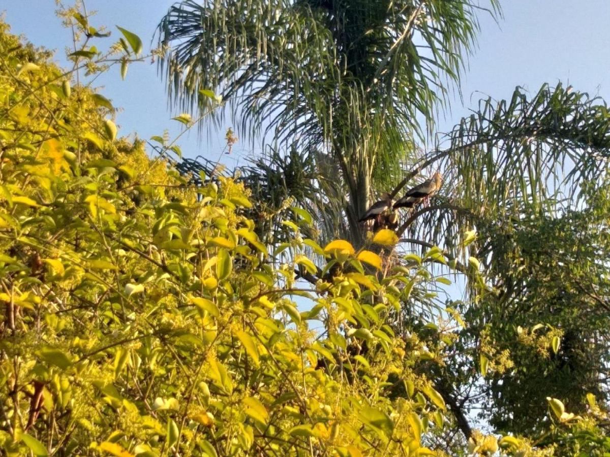 Pousada Do Sossego Conceição da Ibitipoca Exterior foto
